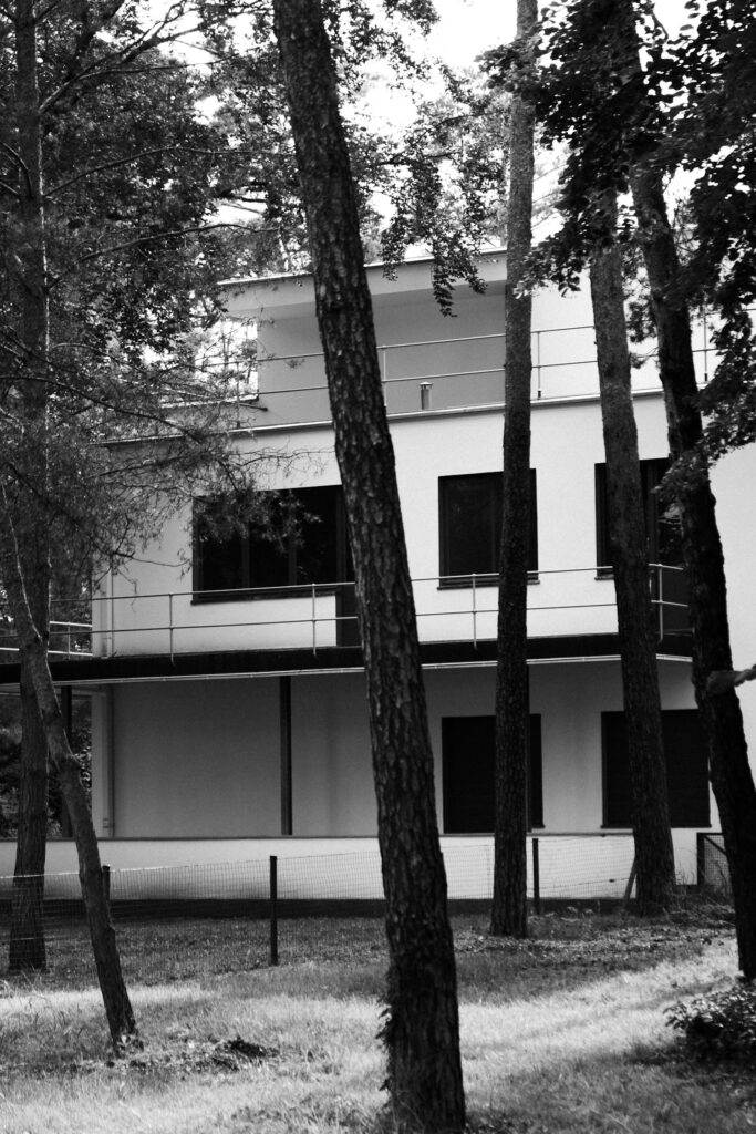 Architektur und Baum im kontrastreichen Licht